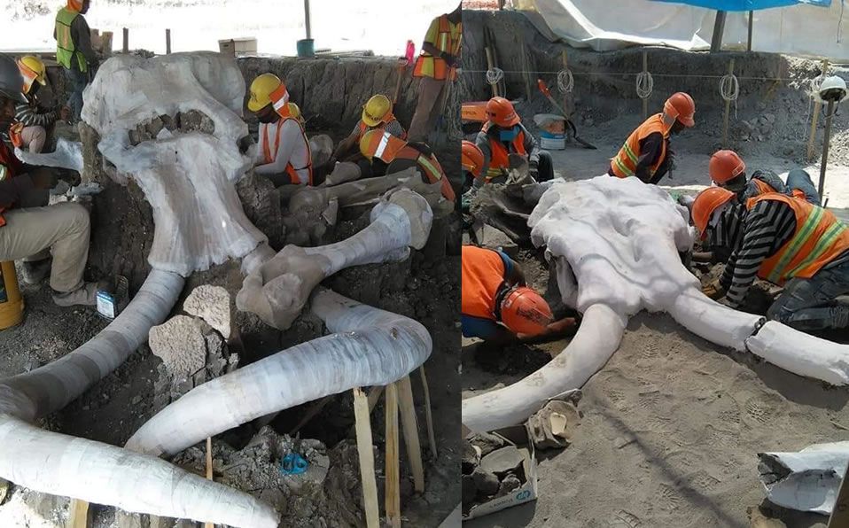 El impresionante hallazgo de 200 mamuts en el aeropuerto de Santa Lucía