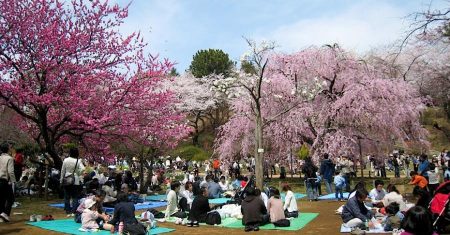 Haru Matsuri 2019, el gran festival de la primavera japonesa en CDMX