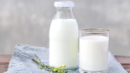 La leche Lala es una empresa mexicana con una fuerte tradición