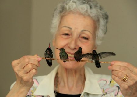 La mujer de 72 años que creó un hospital de colibríes en su propia casa de CDMX