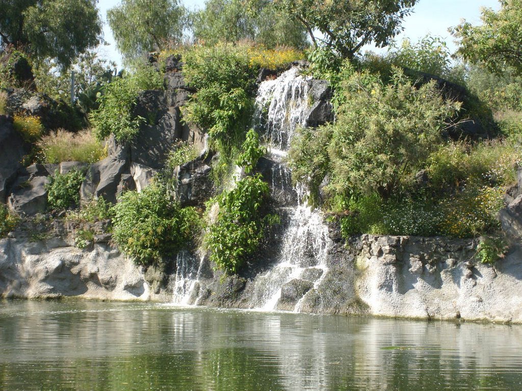 Un parque ecológico, deportivo y cultural en Coyoacán, El Parque Huayamilpas