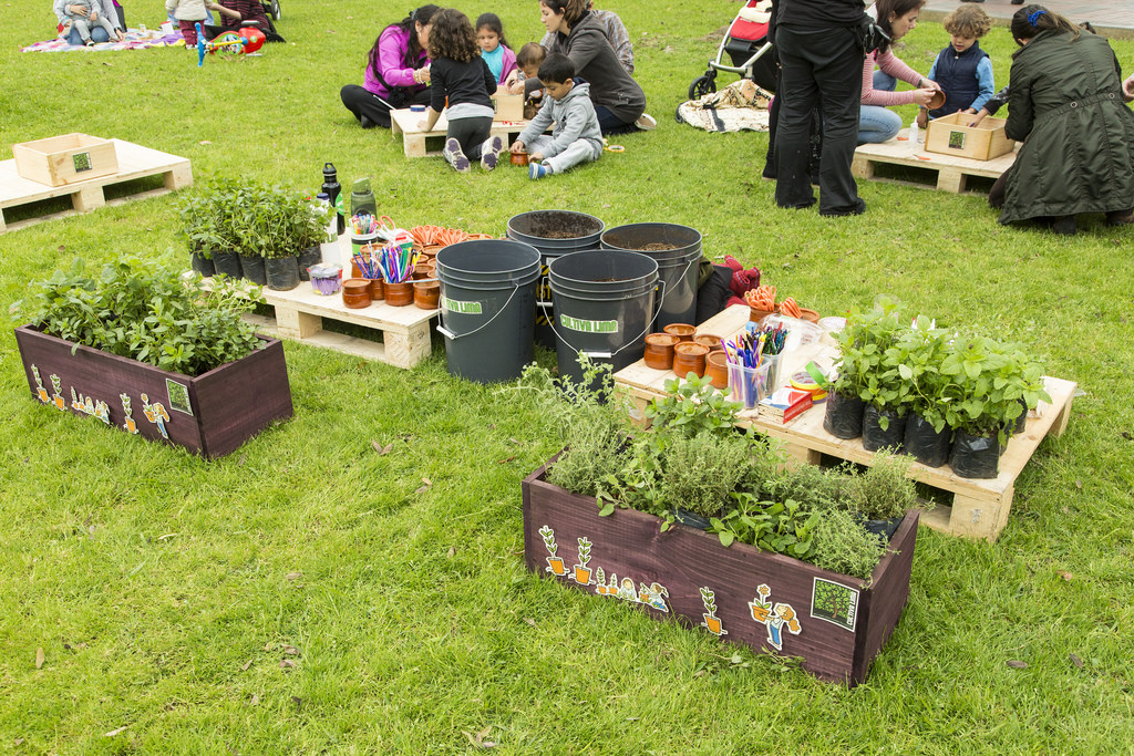 En París, la ley ya permite cultivar alimentos en las calles (y la CDMX bien podría optar por esta alternativa)