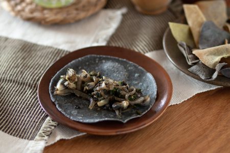 Biotecnología de UNAM ayuda a desarrollar y producir huitlacoche todo el año