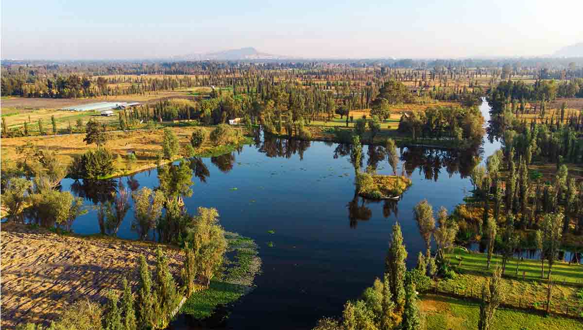 La CDMX al rescate de los humedales en Xochimilco y Tláhuac