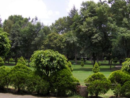 Todo sobre el rincón verde de Tlalpan, el Parque Ecológico Loreto y Peña Pobre