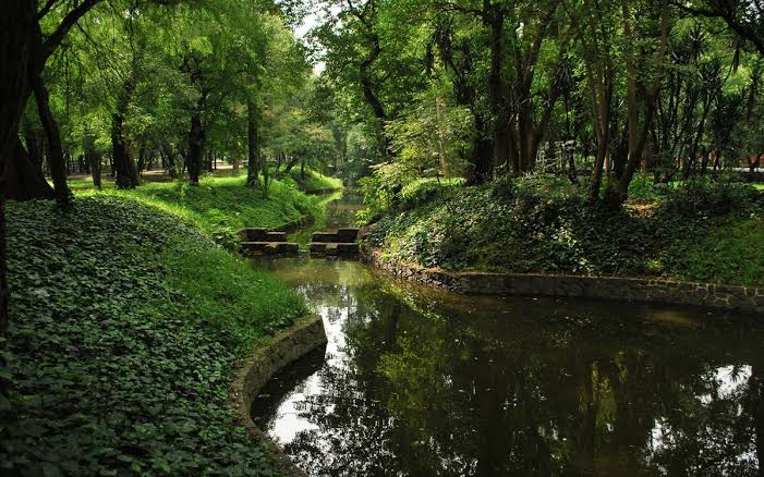 Secretos prehispánicos de Chapultepec: un recorrido histórico por el bosque