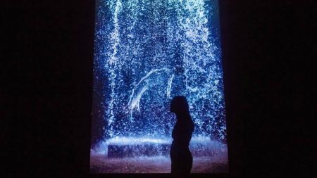 La retrospectiva de Bill Viola en el Ex Teresa será uno de los eventos del año