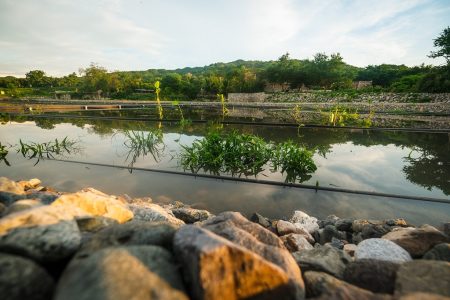 Así es el impresionante humedal y vivero agroforestal de Cihuatlán