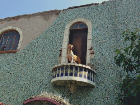 ¿A qué alude la nomenclatura de las calles de la colonia Industrial?