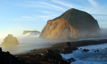 Ecoturismo y tiburones en la bellísima Isla Guadalupe en Baja California