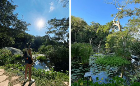 De Sendero a bellísimo Jardín Botánico, Acapulco preserva la selva tropical