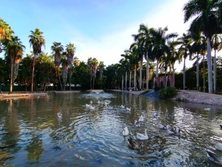 El jardín botánico Benjamin F. Johnston, el Chapultepec de Sinaloa (FOTOS)