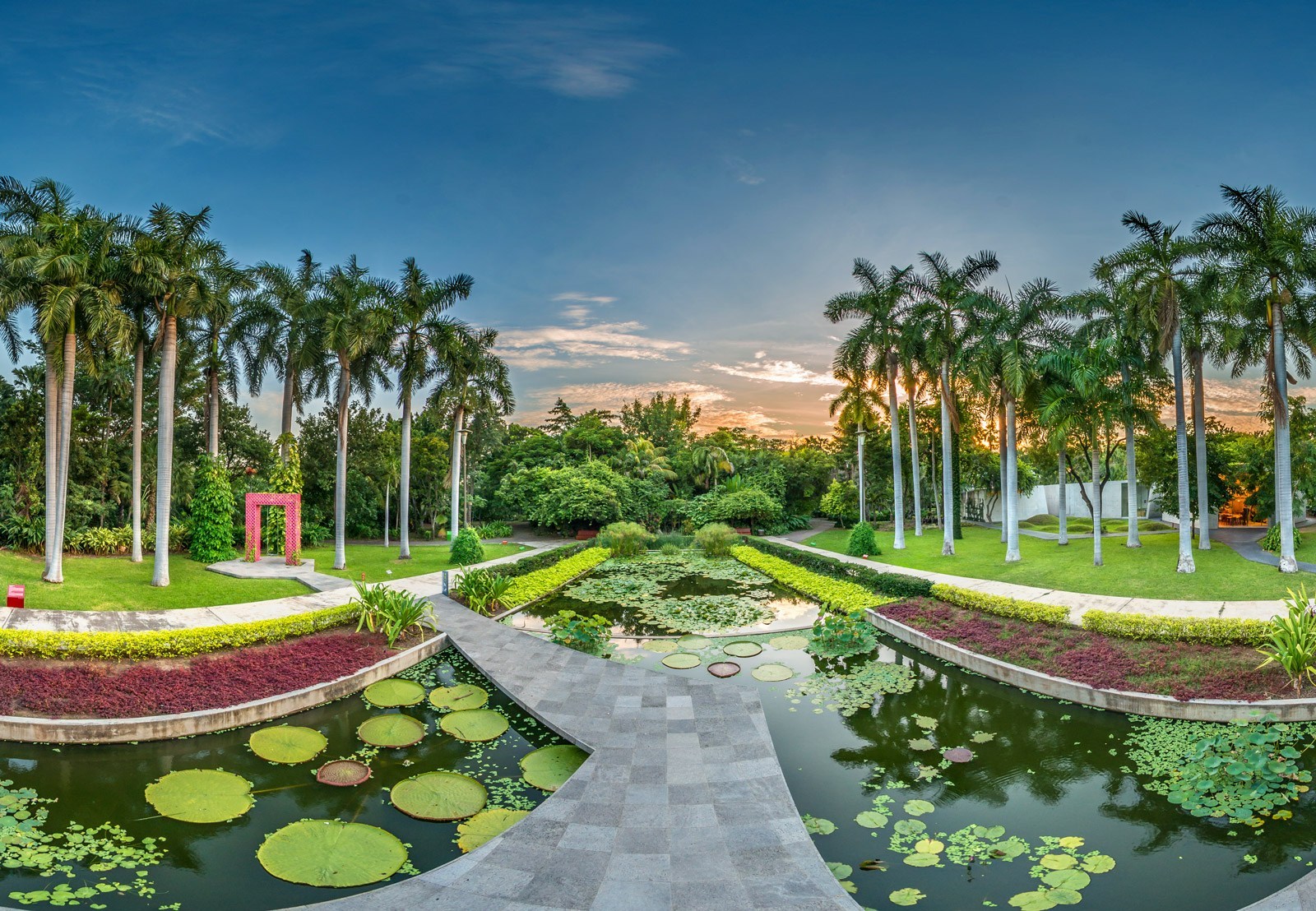 Jardines botánicos de México para amar la diversidad natural del país