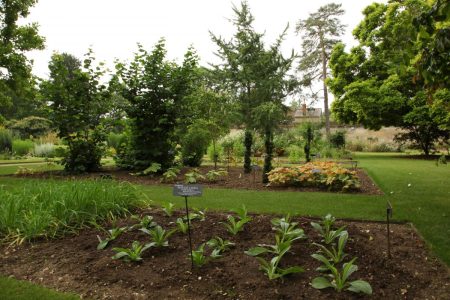 Jardín Xochitlalyocan, un maravilloso jardín de plantas medicinales y aromáticas