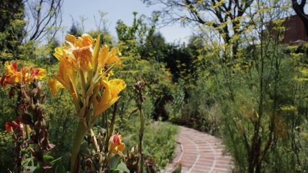 Jardín etnobotánico de Cholula, un paraíso verde en Puebla