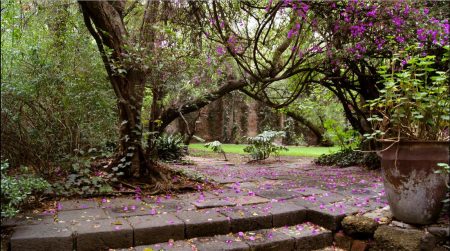 Casa Ortega, los solemnes jardines de Luis Barragán (FOTOS)