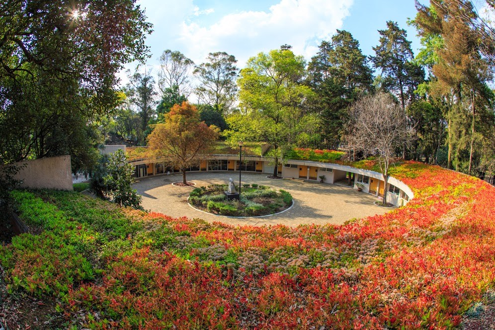 Un oasis dentro de la ciudad: El renovado jardín botánico de Chapultepec