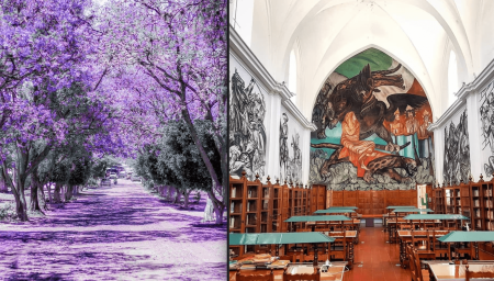 Jiquilpan, el pueblo mágico de jacarandas y de arte mural en sus calles