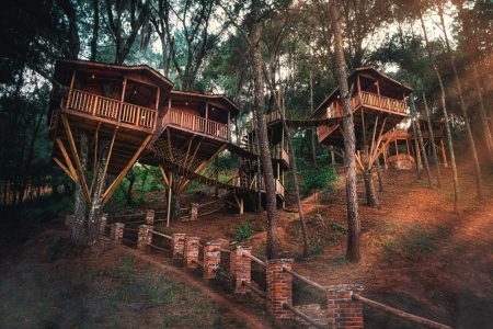 Kali-Tree, un asombroso hotel de casas de árbol en Zacatlán de las Manzanas