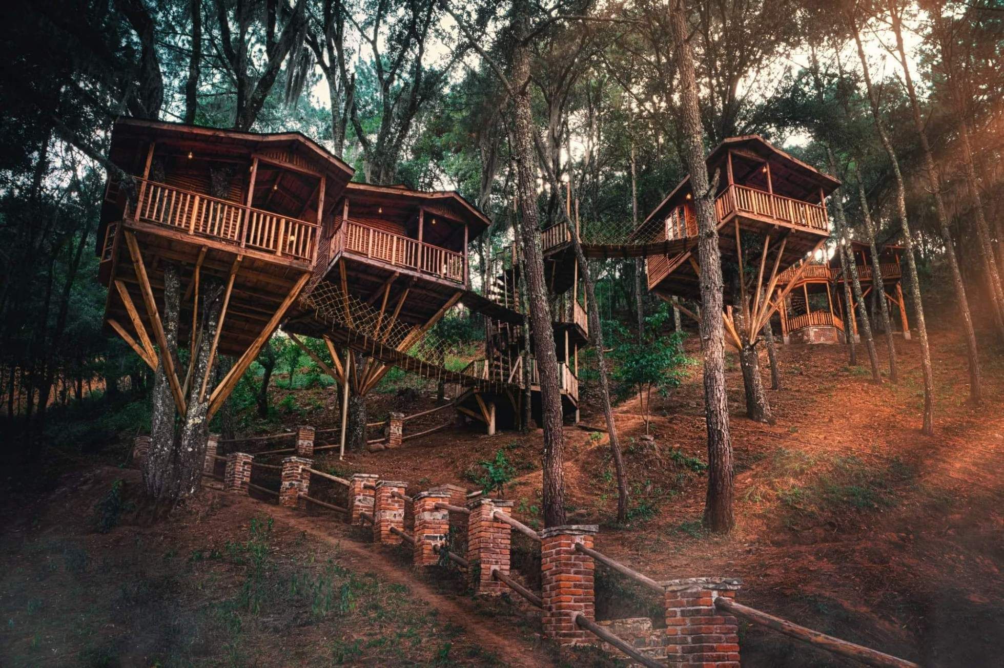 Kali-Tree, un asombroso hotel de casas de árbol en Zacatlán de las Manzanas