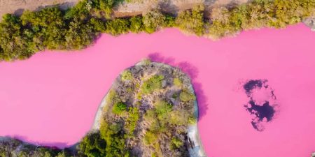 El Santuario de la Tortuga cuyas aguas se tornaron rosas