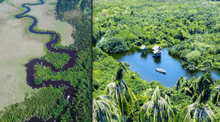 La Tovara es el santuario natural de mayor biodiversidad en el país