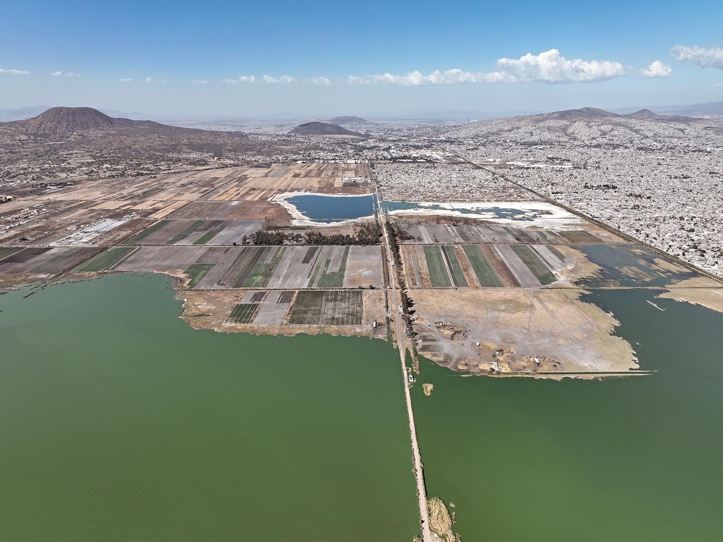 Lago Tláhuac-Xico: nueva reserva protegida de la CDMX (FOTOS)