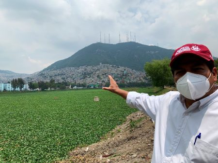 Laguna de Cuautepec, del abandono a un humedal con islas flotantes