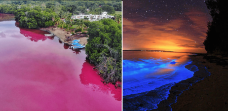 La hermosa laguna de Manialtepec: rosa de día y bioluminiscente de noche