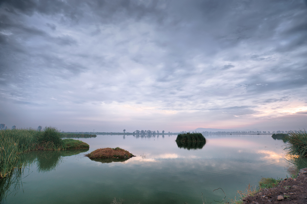 Xico, una laguna que busca regresar los paisajes lacustres a nuestra ciudad