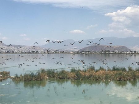 Lagunas de Xico, una hermosa área natural que no ha podido ser recuperada