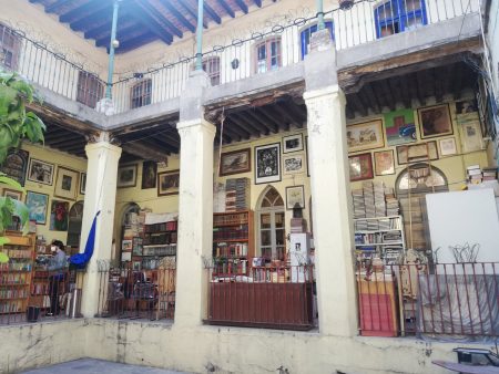 Librería Niña Oscura: el mejor secreto con miles de libros en Santa María la Rivera