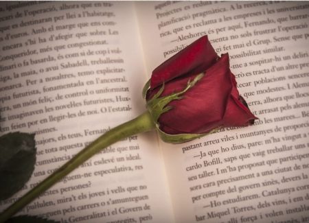 Bienvenidos a la Fiesta del Libro y la Rosa