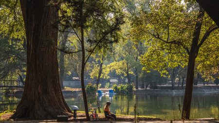 Estos son las acciones de limpieza que se llevarán a cabo en los lagos de Chapultepec