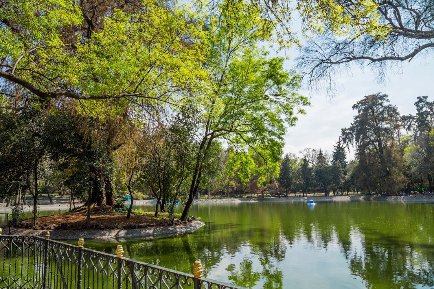 El prometedor Parque Lomas en Chapultepec, un respiro de naturaleza