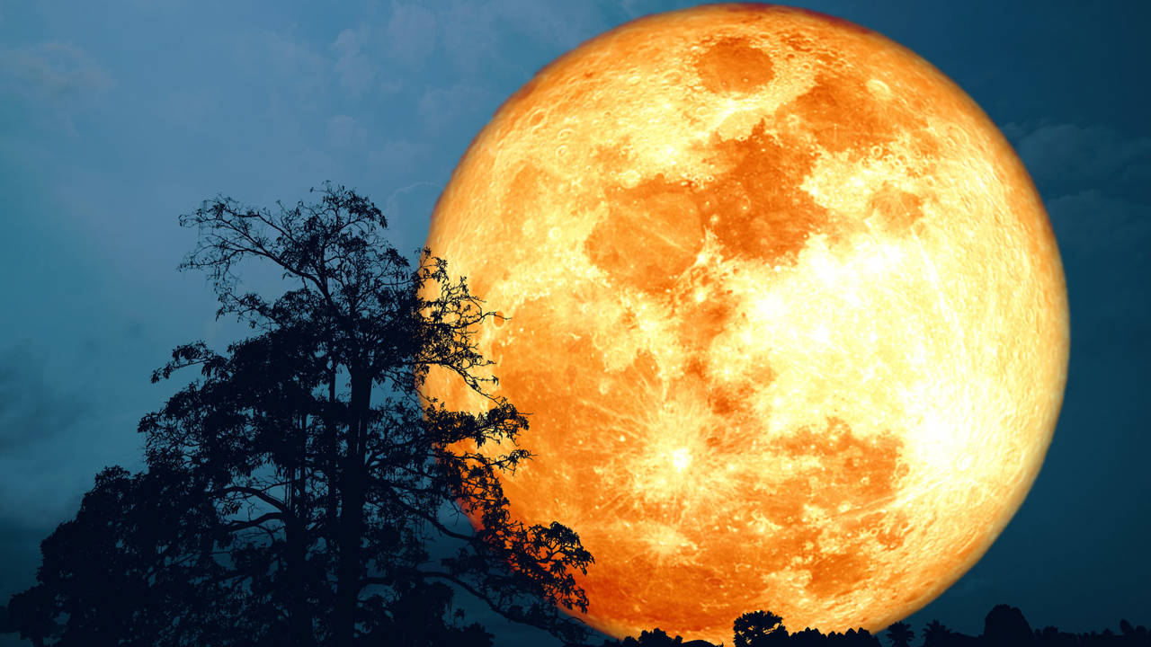 Es momento de contemplar la luna más grande del verano