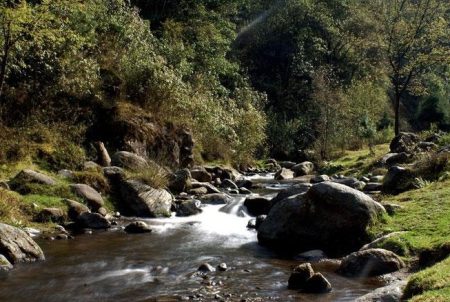 Sobre las áreas naturales de la delegación Magdalena Contreras