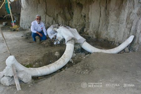 Un nuevo estudio revela la vida de los cazadores de mamuts en el Estado de México