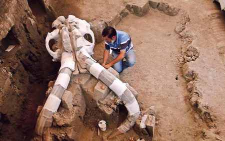 Sobre los restos de mamut que fueron hallados en un basurero de Tultepec