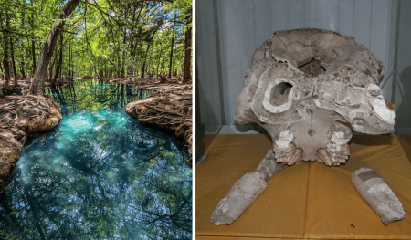 Los sorprendentes descubrimientos arqueológicos en el Manantial Media Luna