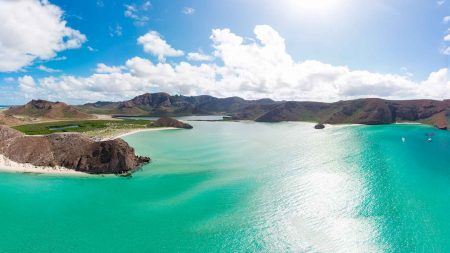 El Mar de Cortés es considerado como el Gran Acuario del Mundo