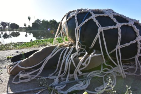 Medusa: un proyecto eco artístico que usa cabello humano para reducir la contaminación  