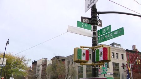 México-Tenochtitlan Avenue, un homenaje a la presencia mexicana en New York