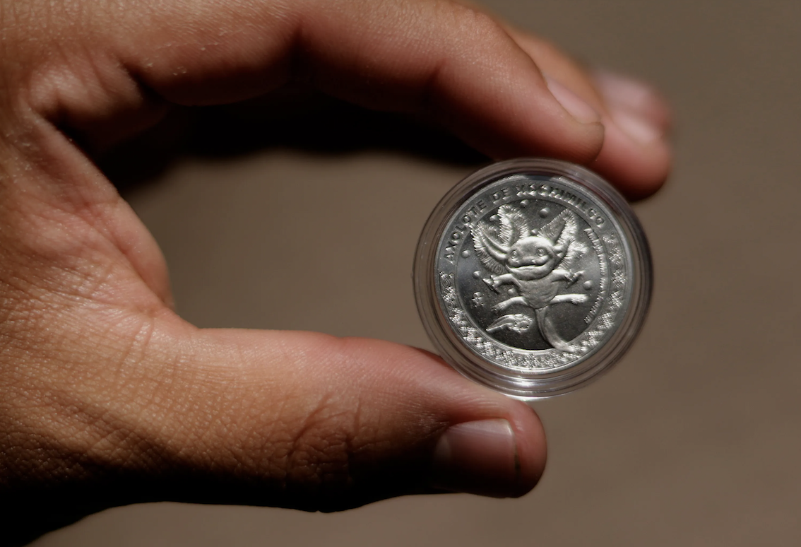 La Casa de Moneda lanza nuevas monedas conmemorativas con el tierno ajolote