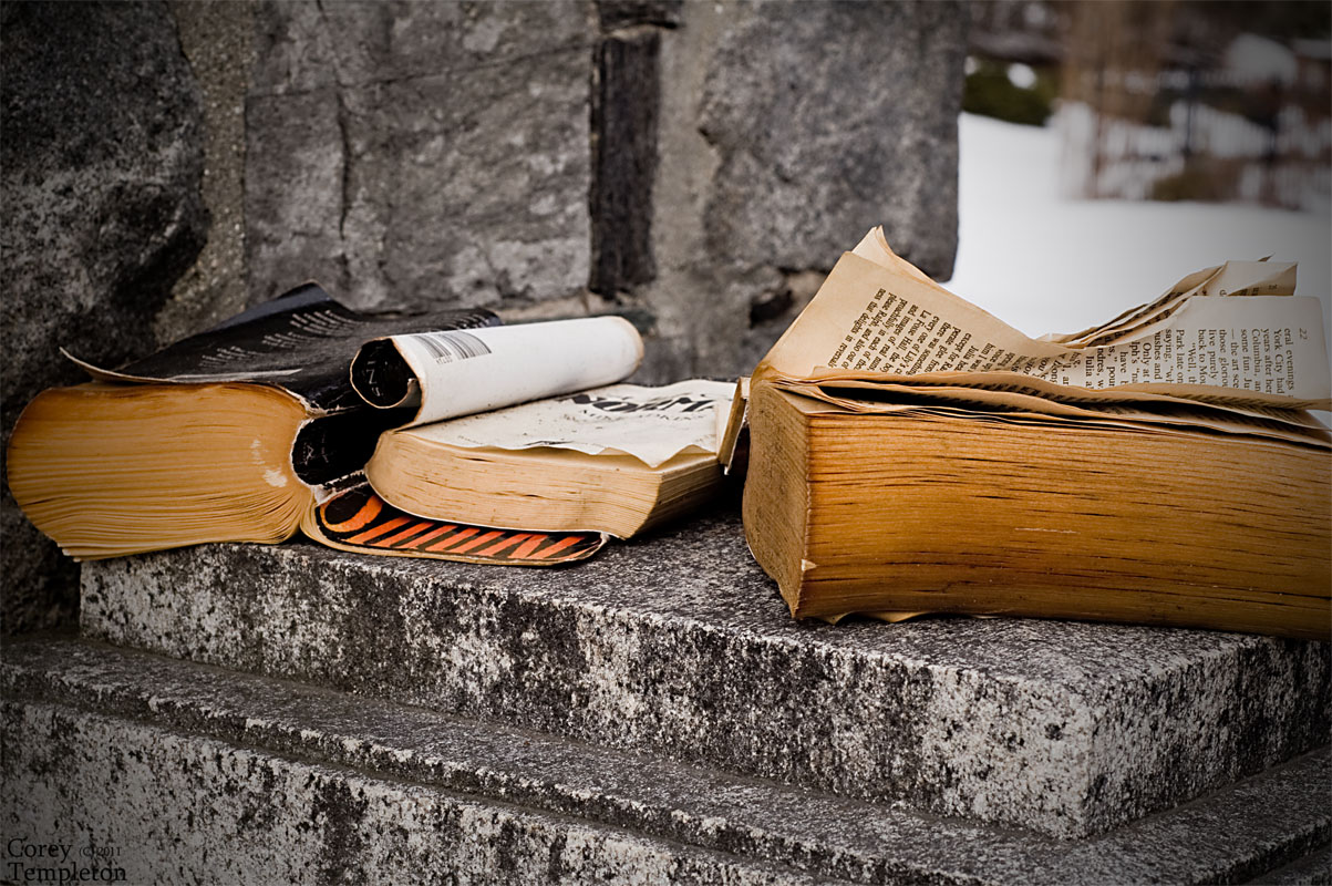 Libro Vagabundo: rotando libros cada 24 horas