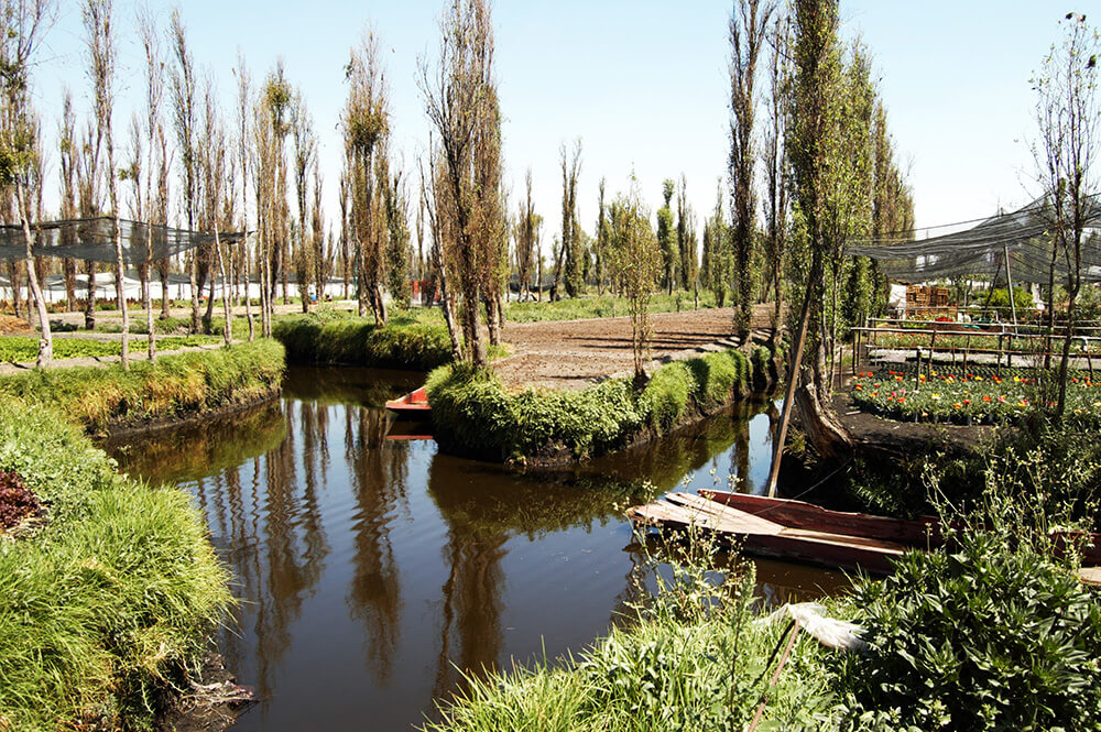 chinampas