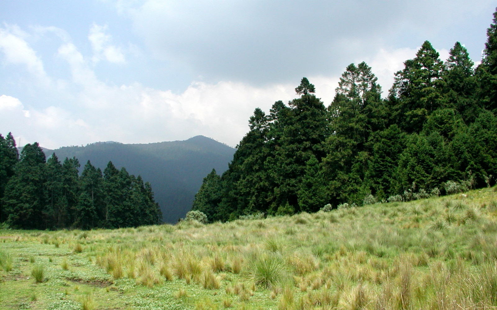 5 tesoros de la naturaleza en CDMX