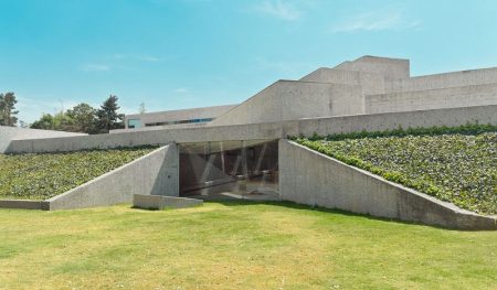 Más de 300 obras serán digitalizadas en el Museo Tamayo