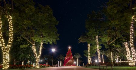 Los preciosos recorridos nocturnos navideños en Jardines de México