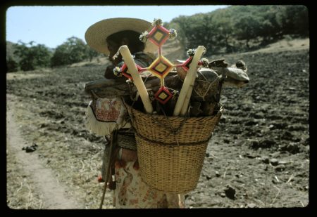 El "Niérika" de la cosmogonía wixárika en la lente de dos legendarios psiconautas